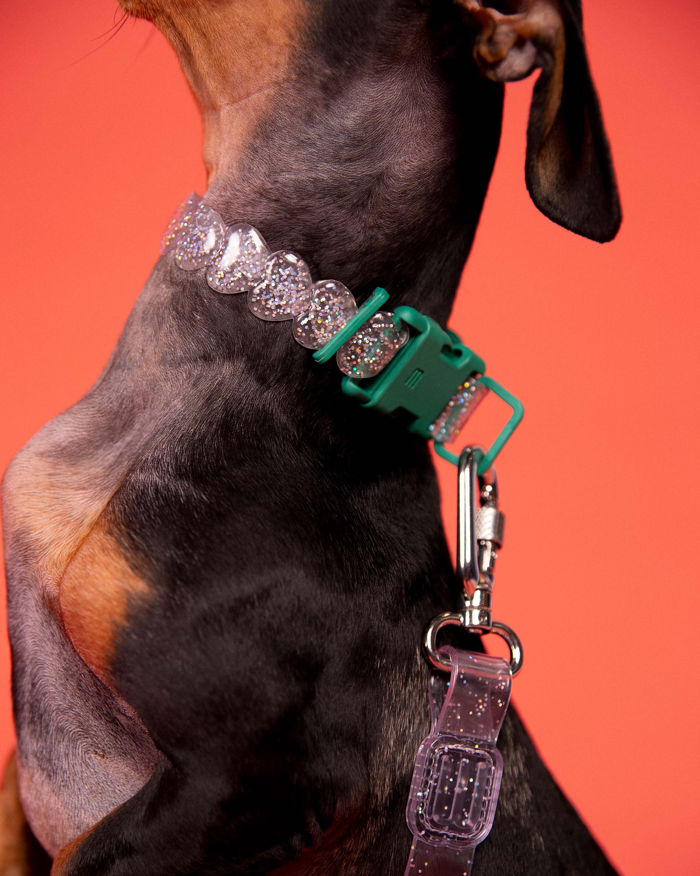 MELISSA PET COLLAR – Melissa Panama