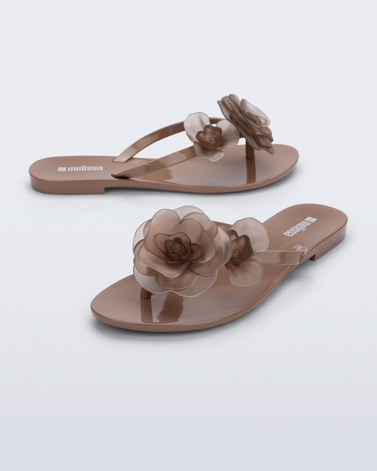 MELISSA HARMONIC PETALS AD