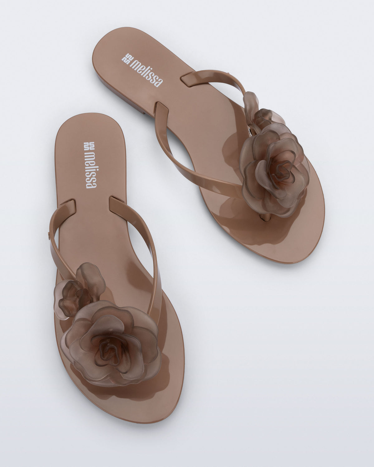 MELISSA HARMONIC PETALS AD