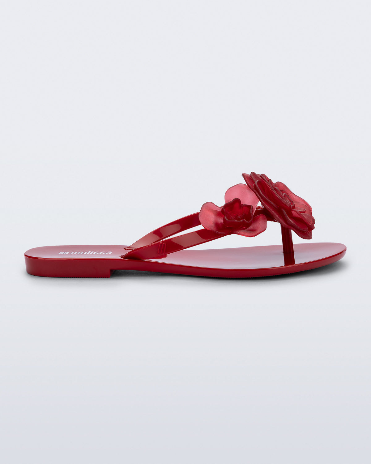 MELISSA HARMONIC PETALS AD