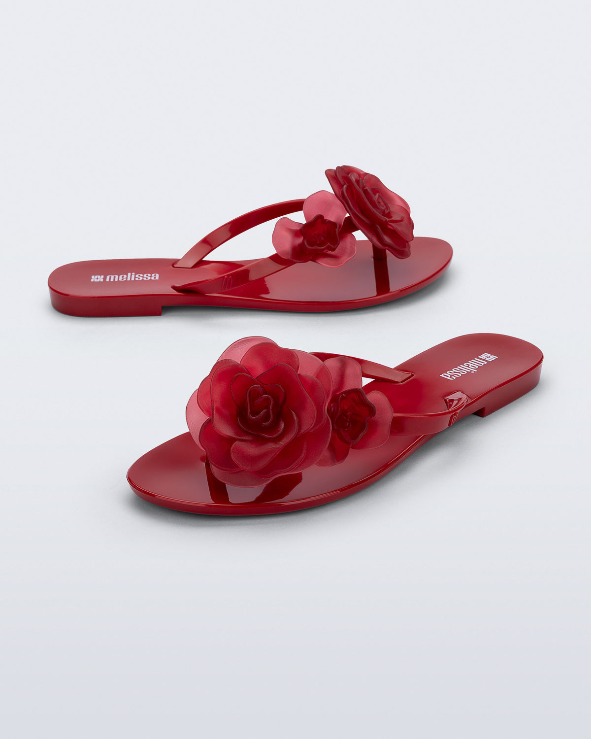MELISSA HARMONIC PETALS AD