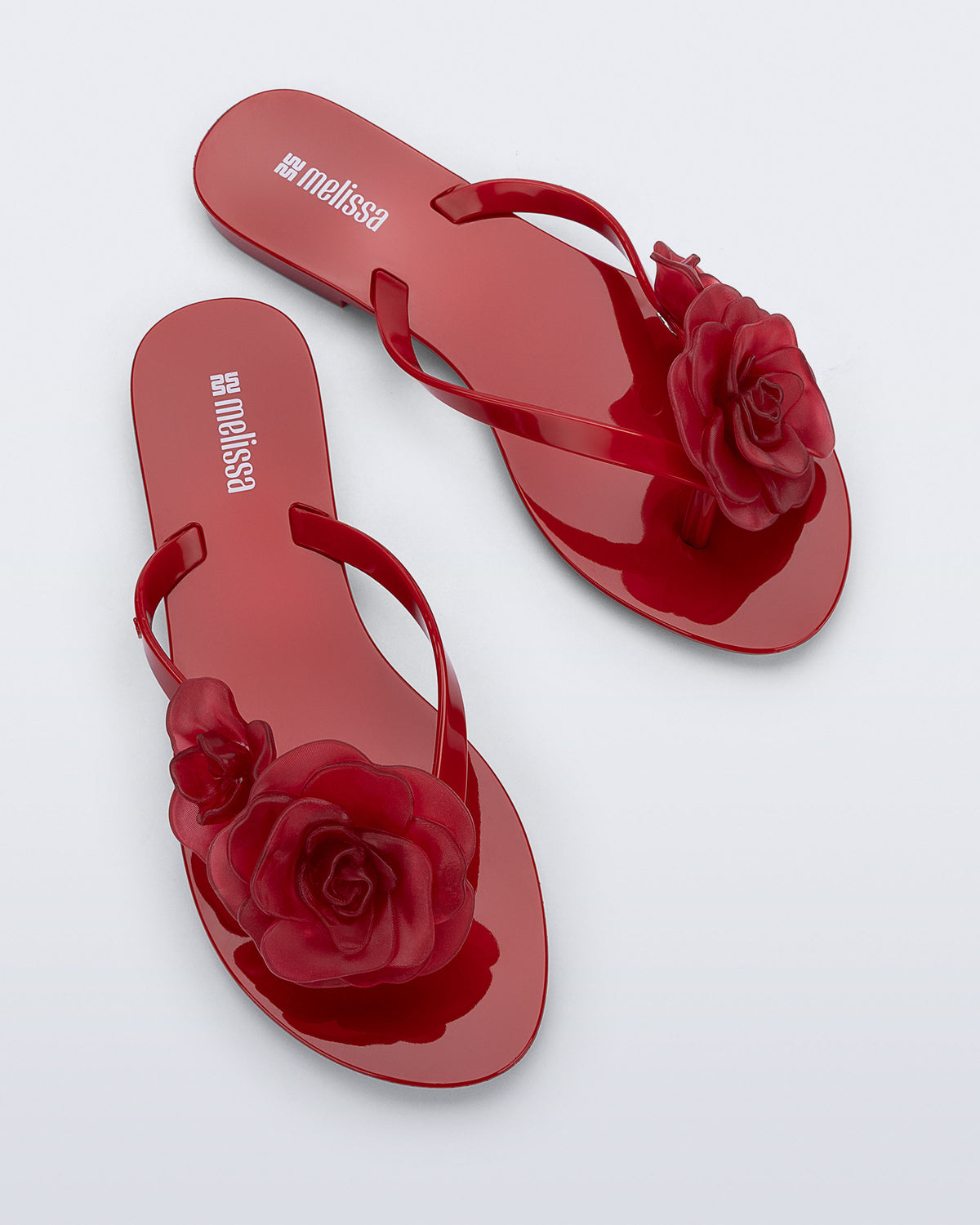 MELISSA HARMONIC PETALS AD